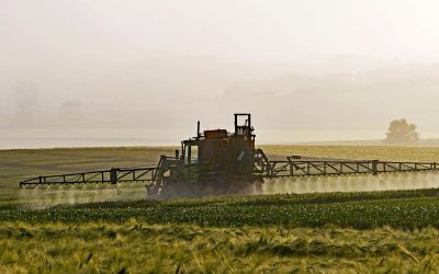 100 ungeprüfte Pflanzenschutzmittel werden in Deutschland zugelassen