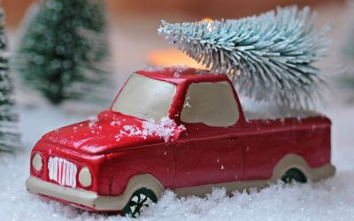 Ein gutes Gefühl mit ökologischen Weihnachtsbäumen