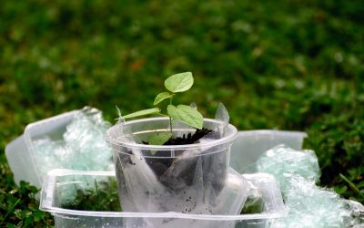 Noch Fragen zu Plastik?